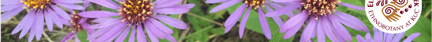 Alaska Ethnobotany