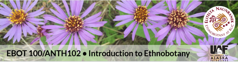 Alaska Ethnobotany in the Movies