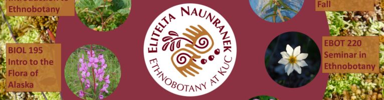 Occupational Endorsement Certificate in Ethnobotany now accepting students!