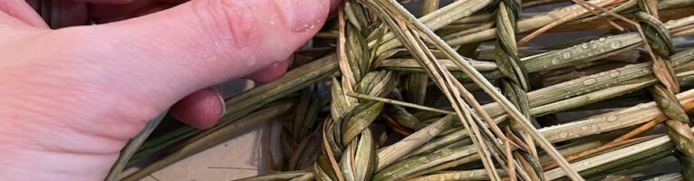 Learning to Work With Beach Ryegrass