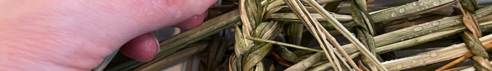 Learning to Work With Beach Ryegrass