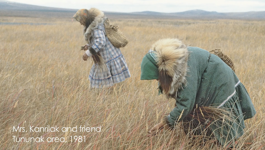 Two women picking grass