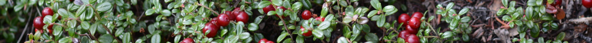 Alaska Ethnobotany