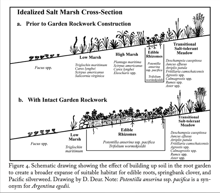 Schematic drawing 
