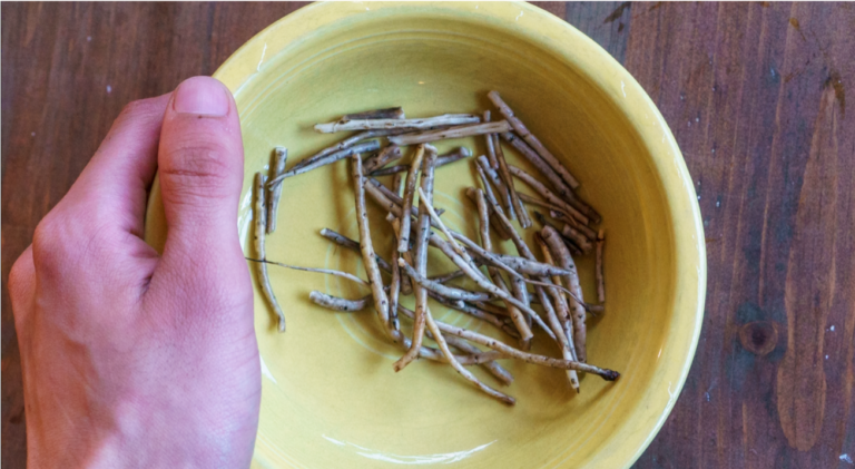 Bowl with some root segments